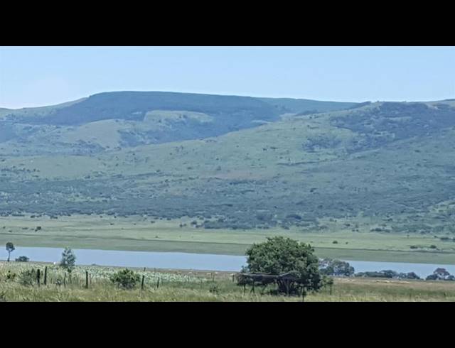 LAND FOR SALE IN LYDENBURG RURAL
